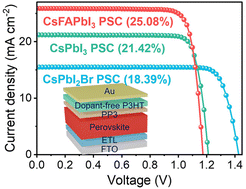 Graphical abstract: Molecularly tailored perovskite/poly(3-hexylthiophene) interfaces for high-performance solar cells