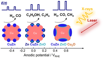 Graphical abstract: Time-resolved operando insights into the tunable selectivity of Cu–Zn nanocubes during pulsed CO2 electroreduction