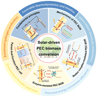 Graphical abstract: Solar-driven photoelectrochemical conversion of biomass: recent progress, mechanistic insights and potential scalability