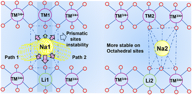 Graphical abstract: Thermodynamically stable low-Na O3 cathode materials driven by intrinsically high ionic potential discrepancy