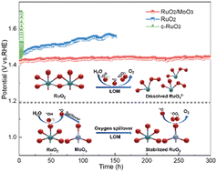 Graphical abstract: Oxygen spillover from RuO2 to MoO3 enhances the activity and durability of RuO2 for acidic oxygen evolution