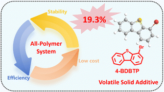 Graphical abstract: Binary all-polymer solar cells with 19.30% efficiency enabled by bromodibenzothiophene-based solid additive