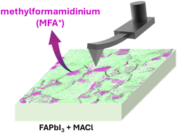 Graphical abstract: Benign methylformamidinium byproduct induced by cation heterogeneity inhibits local formation of δ-phase perovskites