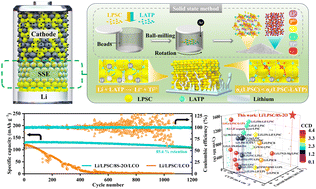 Graphical abstract: The construction of multifunctional solid electrolyte interlayers for stabilizing Li6PS5Cl-based all-solid-state lithium metal batteries