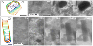 Graphical abstract: Water-induced spinodal decomposition of mixed halide perovskite captured by real-time liquid TEM imaging