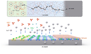 Graphical abstract: Novel in situ SEI fabrication on Zn anodes for ultra-high current density tolerance enabled by electrical excitation–conjugation of iminoacetonitriles