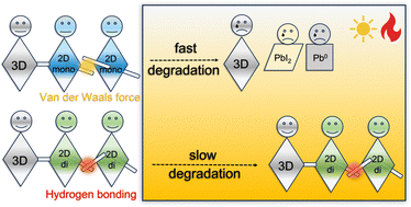 Graphical abstract: Revealing degradation mechanisms in 3D/2D perovskite solar cells under photothermal accelerated ageing