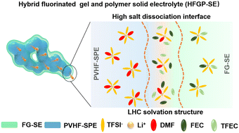 Graphical abstract: Salt dissociation and localized high-concentration solvation at the interface of a fluorinated gel and polymer solid electrolyte