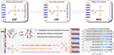 Graphical abstract: Molecular design of electrolyte additives for high-voltage fast-charging lithium metal batteries