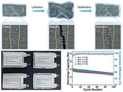 Graphical abstract: A highly elastic and Li-ion conductive binder enables stable operation of silicon microparticle anodes in high-capacity and high-energy-density pouch cells