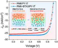 Graphical abstract: Dissolution swelling effect-assisted interfacial morphology refinement enables high efficiency all-polymer solar cells