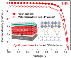 Graphical abstract: Buried interface engineering enables efficient and refurbished CsPbI3 perovskite quantum dot solar cells