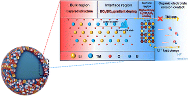 Graphical abstract: A surface-to-interface boronation engineering strategy stabilizing the O/Mn redox chemistry of lithium-rich manganese based oxides towards high energy-density cathodes