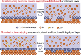 Graphical abstract: Non-destructive stripping electrochemistry enables long-life zinc metal batteries