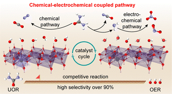 Graphical abstract: Single-atom tungsten doping induced chemical–electrochemical coupled pathway on Ni(OH)2 enables efficient urea electrooxidation