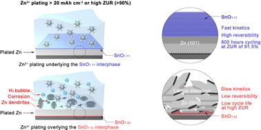 Graphical abstract: Spontaneous passivation of selective Zn(101) plating via dangling bond saturation and electrostatic interaction regulation for high-utilization, fast-kinetics zinc anodes