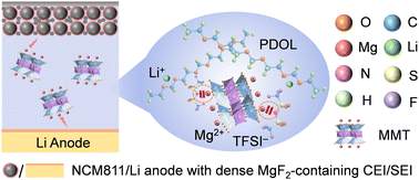 Graphical abstract: Mg2+ initiated in situ polymerization of dioxolane enabling stable interfaces in solid-state lithium metal batteries