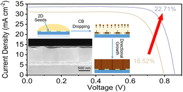 Graphical abstract: Guiding vertical growth and improving the buried interface of Pb–Sn perovskite films with 2D perovskite seeds for efficient narrow-bandgap perovskite solar cells and tandems