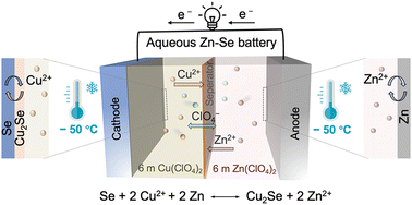 Graphical abstract: A low-temperature aqueous Se-based battery with rapid reaction kinetics and unprecedented energy density