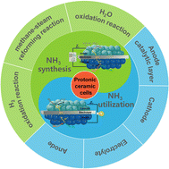 Graphical abstract: Electricity-to-ammonia interconversion in protonic ceramic cells: advances, challenges and perspectives