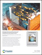 Graphical abstract: Back cover