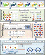 Graphical abstract: How do ecosystem service functions affect ecological health? Evidence from the Yangtze River Economic Belt in China