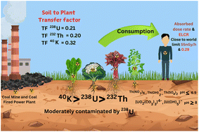 Graphical abstract: Spatial distribution and soil-to-plant transfer factors of radionuclides in agricultural soil around the Barapukuria coal mining site, Bangladesh