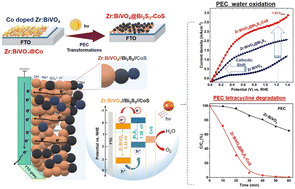 Graphical abstract: Cooperative catalytic behavior of CoS and Bi2S3 nanoparticles on Zr:BiVO4 photoanodes for enhanced photoelectrochemical sulfite oxidation coupled with pharmaceutical pollution degradation