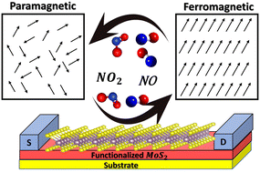 Graphical abstract: Functionalized molybdenum disulfide (MoS2) monolayer as an efficient nanosensor towards toxic nitrogen containing gases