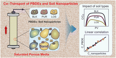 Graphical abstract: Co-transport of polybromodiphenyl ethers and soil nanoparticles in saturated porous media: implications for the risks of polybromodiphenyl ether spreading in groundwater