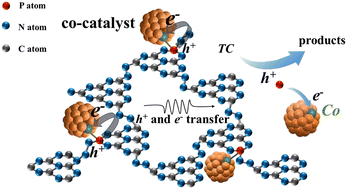 Graphical abstract: In situ growth of a heterojunction cocatalyst on the g-C3N5 surface enhances charge transfer to improve photocatalytic activity