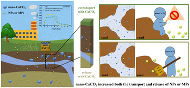 Graphical abstract: Influence of inorganic nano-fertilizer on the transport and release of nano- and micro-plastics in saturated quartz sand