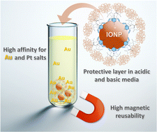 Graphical abstract: Robust calix[4]arene-polyethyleneimine coated iron oxide nanoparticles for enhanced recovery of gold and platinum chloride complexes