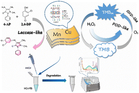 Graphical abstract: Bimetallic nanozyme of Cu–Mn organophyllosilicate with enhanced multi-enzyme mimetic activity for simultaneous degradation of hydroquinone and methylene blue
