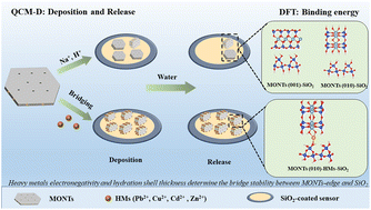 Graphical abstract: Heavy metals enhance the deposition of clay colloids on silica surfaces via heterogeneous pathways
