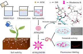 Graphical abstract: Co-assembly of nanopesticides of abamectin B1a and imidacloprid against Ditylenchus destructor