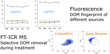 Graphical abstract: Molecular level seasonality of dissolved organic matter in freshwater and its impact on drinking water treatment