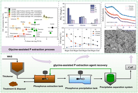 Graphical abstract: Glycine-assisted phosphorus release and recovery from waste-activated sludge