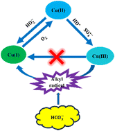 Graphical abstract: Strongly enhanced persulfate activation by bicarbonate accelerated Cu(iii)/Cu(i) redox cycles