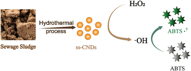 Graphical abstract: A low-cost assay for hydrogen peroxide using sewage sludge-based carbon nanodots