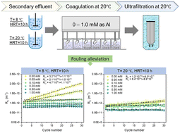 Graphical abstract: The impact of secondary operating temperature on in-line coagulation/flocculation and fouling of membranes used in tertiary treatment