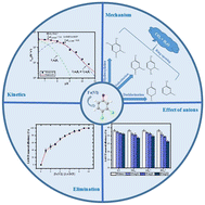 Graphical abstract: Removal of 3,4-dichlorophenol from water utilizing ferrate(vi): kinetic and mechanistic investigations and effects of coexisting anions