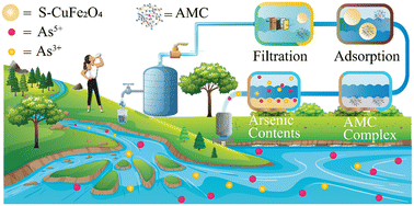 Graphical abstract: A report on arsenic removal from water via adsorption of an arsenomolybdate complex on S–CuFe2O4 adsorbents