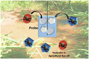 Graphical abstract: Graphene oxide-based probe for detecting deltamethrin and emamectin benzoate pesticides in agricultural run-off