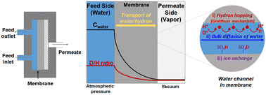 Graphical abstract: Separation behavior of hydrogen isotopes via water pervaporation using proton conductive membranes