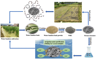 Graphical abstract: The application of water bamboo (Zizania latifolia) husk-derived biochar for copper-contaminated irrigation water treatment and soil amendment