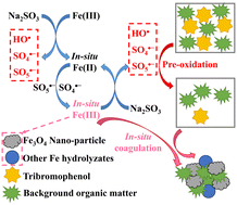 Graphical abstract: Combined oxidation and in situ coagulation in an iron-activated sulfite process for tribromophenol removal in an actual water matrix