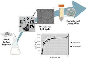 Graphical abstract: Development of a powdered activated charcoal sodium alginate hydrogel bead concentration method for detecting viruses in wastewater