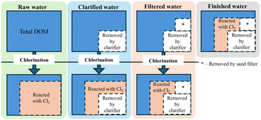 Graphical abstract: Formation of chlorinated disinfection by-products and fate of their precursors in individual processes of a conventional water treatment plant assessed using high-resolution mass spectrometry