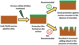 Graphical abstract: Effect of ferrous sulfate treatment on microbially influenced corrosion of CuNi 70/30 marine pipeline alloy by sulfate reducing bacteria